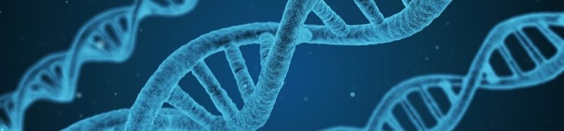 Print genetic code Print genetic code